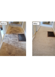 Vox House & Carpet Cleaning PRO Vox Cleaning Services We serve all Denver metro area and beyond Carpet cleaning in Aurora Colorado Carpet cleaning in Brighton Colorado Carpet cleaning in Denver Colorado Carpet cleaning in Thornton Colorado Carpet cleaning in Boulder Colorado Carpet cleaning in Littleton Colorado Carpet cleaning in Golden Colorado Carpet cleaning in Parker Colorado Carpet cleaning in Castle Rock Colorado Carpet cleaning in Westminster Colorado Carpet cleaning in Broomfield Colorado Carpet cleaning in Lakewood Colorado Carpet cleaning in Fort Morgan Colorado Carpet cleaning in Loveland Carpet cleaning in Fort Collins House cleaning in Aurora Colorado House cleaning in Brighton Colorado House cleaning in Denver Colorado House cleaning in Thornton Colorado House cleaning in Boulder Colorado House cleaning in Littleton Colorado House cleaning in Golden Colorado House cleaning in Parker Colorado House cleaning in Castle Rock Colorado House cleaning in Westminster Colorado House cleaning in Broomfield Colorado House cleaning in Lakewood Colorado House cleaning in Fort Morgan Colorado House cleaning in Loveland House cleaning in Fort Collins