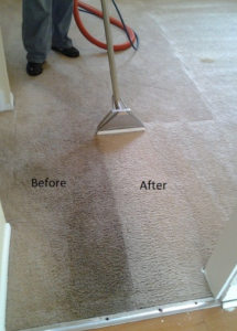Vox House & Carpet Cleaning PRO Vox Cleaning Services We serve all Denver metro area and beyond Carpet cleaning in Aurora Colorado Carpet cleaning in Brighton Colorado Carpet cleaning in Denver Colorado Carpet cleaning in Thornton Colorado Carpet cleaning in Boulder Colorado Carpet cleaning in Littleton Colorado Carpet cleaning in Golden Colorado Carpet cleaning in Parker Colorado Carpet cleaning in Castle Rock Colorado Carpet cleaning in Westminster Colorado Carpet cleaning in Broomfield Colorado Carpet cleaning in Lakewood Colorado Carpet cleaning in Fort Morgan Colorado Carpet cleaning in Loveland Carpet cleaning in Fort Collins House cleaning in Aurora Colorado House cleaning in Brighton Colorado House cleaning in Denver Colorado House cleaning in Thornton Colorado House cleaning in Boulder Colorado House cleaning in Littleton Colorado House cleaning in Golden Colorado House cleaning in Parker Colorado House cleaning in Castle Rock Colorado House cleaning in Westminster Colorado House cleaning in Broomfield Colorado House cleaning in Lakewood Colorado House cleaning in Fort Morgan Colorado House cleaning in Loveland House cleaning in Fort Collins