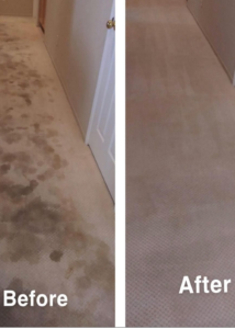 Vox House & Carpet Cleaning PRO Vox Cleaning Services We serve all Denver metro area and beyond Carpet cleaning in Aurora Colorado Carpet cleaning in Brighton Colorado Carpet cleaning in Denver Colorado Carpet cleaning in Thornton Colorado Carpet cleaning in Boulder Colorado Carpet cleaning in Littleton Colorado Carpet cleaning in Golden Colorado Carpet cleaning in Parker Colorado Carpet cleaning in Castle Rock Colorado Carpet cleaning in Westminster Colorado Carpet cleaning in Broomfield Colorado Carpet cleaning in Lakewood Colorado Carpet cleaning in Fort Morgan Colorado Carpet cleaning in Loveland Carpet cleaning in Fort Collins House cleaning in Aurora Colorado House cleaning in Brighton Colorado House cleaning in Denver Colorado House cleaning in Thornton Colorado House cleaning in Boulder Colorado House cleaning in Littleton Colorado House cleaning in Golden Colorado House cleaning in Parker Colorado House cleaning in Castle Rock Colorado House cleaning in Westminster Colorado House cleaning in Broomfield Colorado House cleaning in Lakewood Colorado House cleaning in Fort Morgan Colorado House cleaning in Loveland House cleaning in Fort Collins