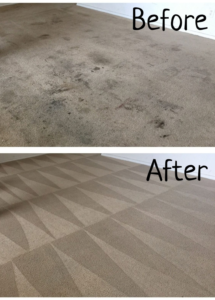 Vox House & Carpet Cleaning PRO Vox Cleaning Services We serve all Denver metro area and beyond Carpet cleaning in Aurora Colorado Carpet cleaning in Brighton Colorado Carpet cleaning in Denver Colorado Carpet cleaning in Thornton Colorado Carpet cleaning in Boulder Colorado Carpet cleaning in Littleton Colorado Carpet cleaning in Golden Colorado Carpet cleaning in Parker Colorado Carpet cleaning in Castle Rock Colorado Carpet cleaning in Westminster Colorado Carpet cleaning in Broomfield Colorado Carpet cleaning in Lakewood Colorado Carpet cleaning in Fort Morgan Colorado Carpet cleaning in Loveland Carpet cleaning in Fort Collins House cleaning in Aurora Colorado House cleaning in Brighton Colorado House cleaning in Denver Colorado House cleaning in Thornton Colorado House cleaning in Boulder Colorado House cleaning in Littleton Colorado House cleaning in Golden Colorado House cleaning in Parker Colorado House cleaning in Castle Rock Colorado House cleaning in Westminster Colorado House cleaning in Broomfield Colorado House cleaning in Lakewood Colorado House cleaning in Fort Morgan Colorado House cleaning in Loveland House cleaning in Fort Collins