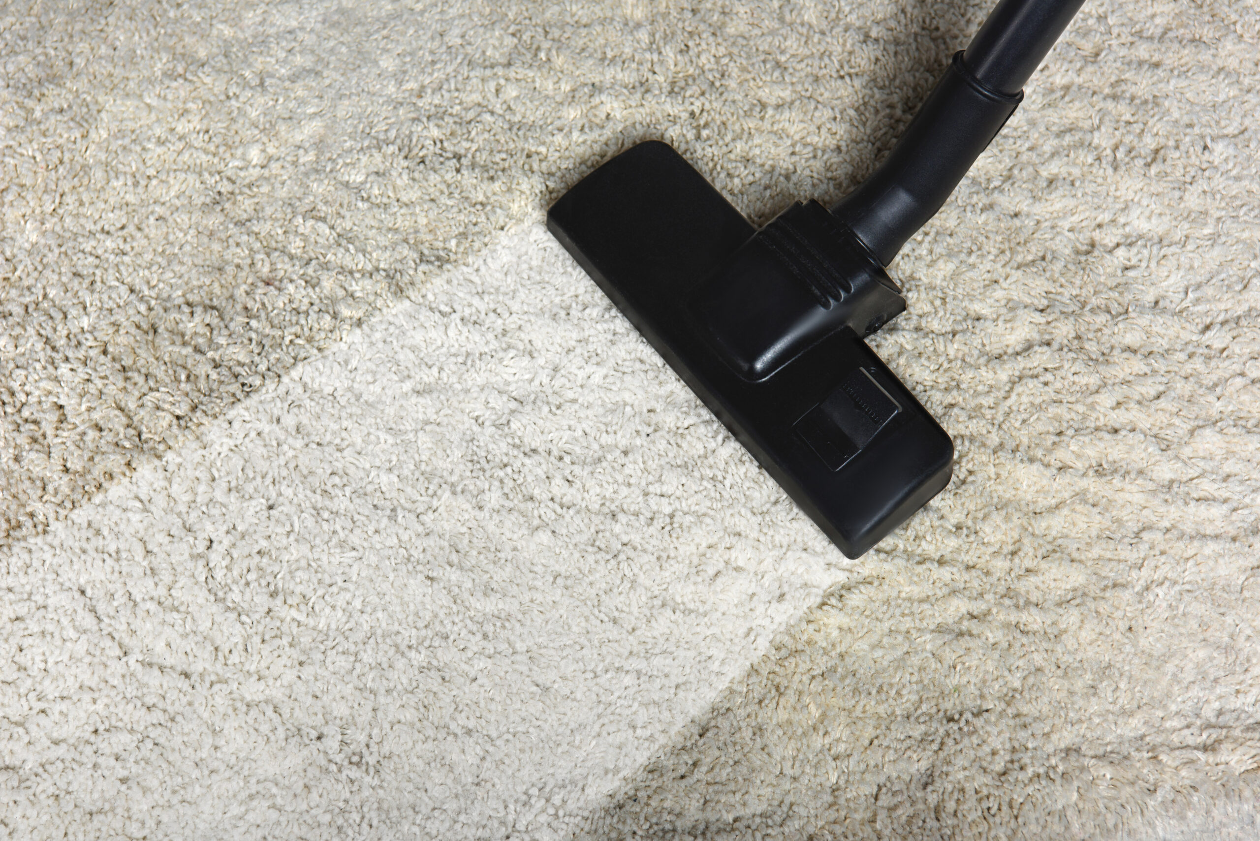 Vox House & Carpet Cleaning PRO Vox Cleaning Services We serve all Denver metro area and beyond Carpet cleaning in Aurora Colorado Carpet cleaning in Brighton Colorado Carpet cleaning in Denver Colorado Carpet cleaning in Thornton Colorado Carpet cleaning in Boulder Colorado Carpet cleaning in Littleton Colorado Carpet cleaning in Golden Colorado Carpet cleaning in Parker Colorado Carpet cleaning in Castle Rock Colorado Carpet cleaning in Westminster Colorado Carpet cleaning in Broomfield Colorado Carpet cleaning in Lakewood Colorado Carpet cleaning in Fort Morgan Colorado Carpet cleaning in Loveland Carpet cleaning in Fort Collins House cleaning in Aurora Colorado House cleaning in Brighton Colorado House cleaning in Denver Colorado House cleaning in Thornton Colorado House cleaning in Boulder Colorado House cleaning in Littleton Colorado House cleaning in Golden Colorado House cleaning in Parker Colorado House cleaning in Castle Rock Colorado House cleaning in Westminster Colorado House cleaning in Broomfield Colorado House cleaning in Lakewood Colorado House cleaning in Fort Morgan Colorado House cleaning in Loveland House cleaning in Fort Collins
